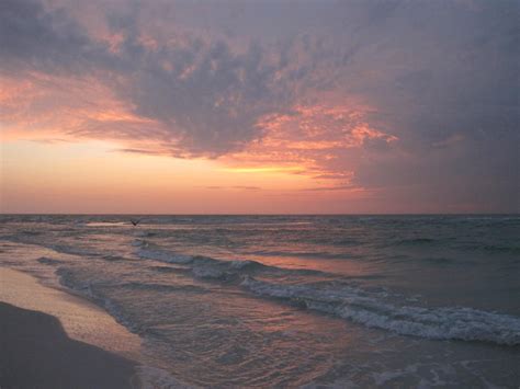 siesta key tripadvisor|Siesta Key, FL: All You Must Know Before You Go (2024).